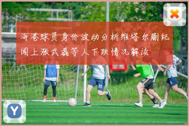 海港球员身价波动分析维塔尔蒯纪闻上涨武磊等人下跌情况解读